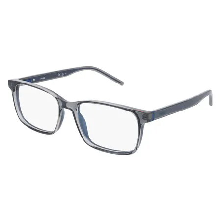 Hugo Boss HG1163