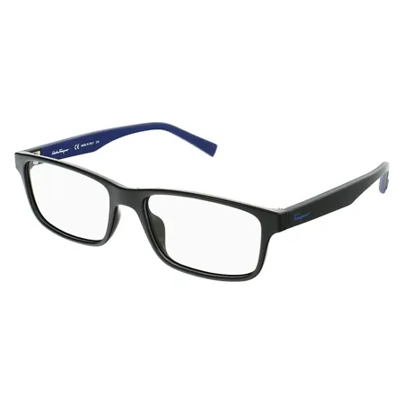Salvatore Ferragamo SF2848