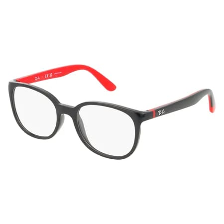 Ray-Ban Jr RY1631
